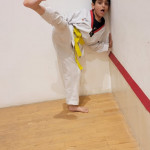 Taekwondo Academy