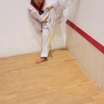 Taekwondo Academy