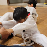 Taekwondo Academy