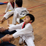 Taekwondo Academy