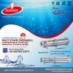 Submersible Pump