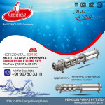 Submersible Pump