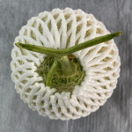 Plastic Film , Plastic Film & Agri mulching film