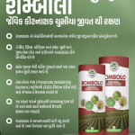 Bio - fertilizer, Seeds, Bio - tech Products