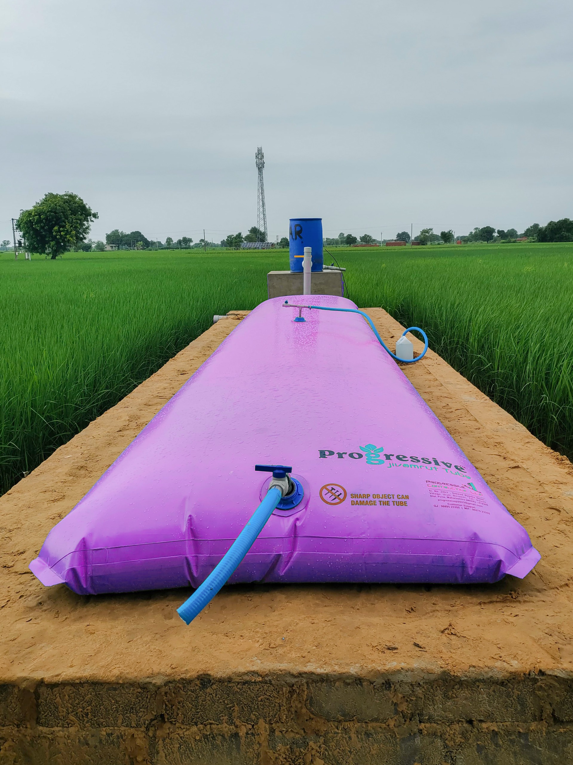 Promoting Natural Farming