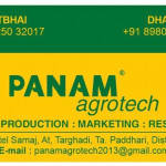 SEEDS PRODUTION : MARKETING : RESEARCH