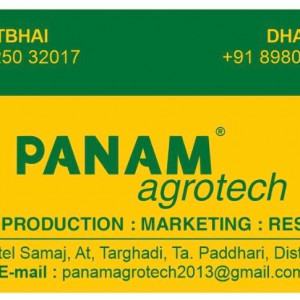 SEEDS PRODUTION : MARKETING : RESEARCH