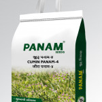 SEEDS PRODUTION : MARKETING : RESEARCH