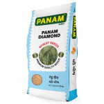 SEEDS PRODUTION : MARKETING : RESEARCH