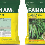 SEEDS PRODUTION : MARKETING : RESEARCH