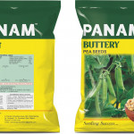 SEEDS PRODUTION : MARKETING : RESEARCH