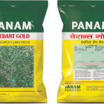 SEEDS PRODUTION : MARKETING : RESEARCH