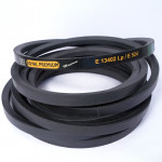 Industrial Power Transmission Solutions.