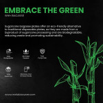 Manufacturer Biodegradable Tableware