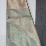 Silk Saree & Designer Dresses