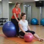 Physiotherapist Clinical