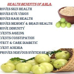 Mango Farm & Organic Products