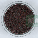 International Agro Products Exporters