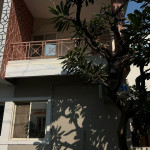 Limer Morter, Plaster, Putty, Primer, Paint