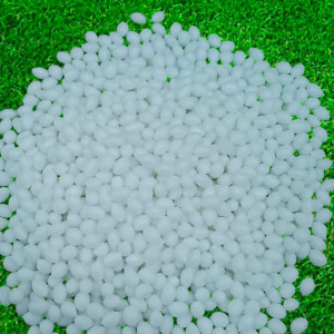 Compostable Products