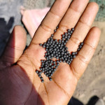 Fertilizer Granules Maker