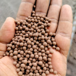 Fertilizer Granules Maker